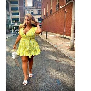 Yellow Hummingbird Skater Dress